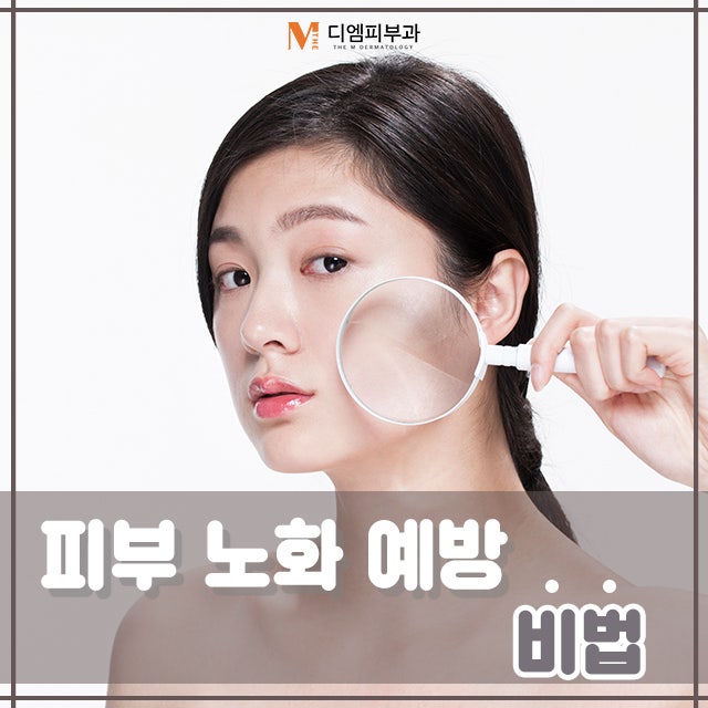 올바른피부노화예방비법 노화 예방 음식으로 건강한 피부 되자!