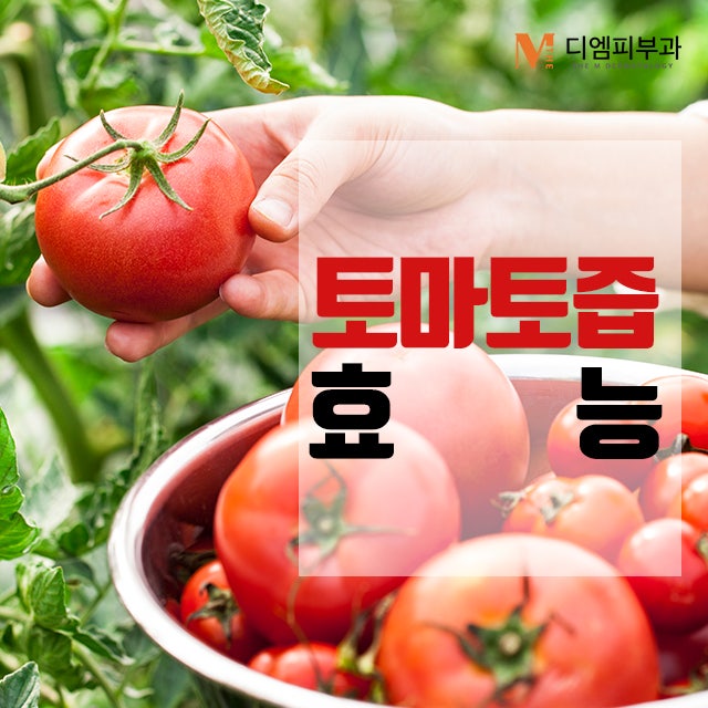 토마토즙효능 몸이 건강해지는 지름길